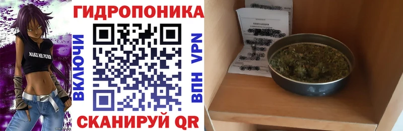 Купить наркотик Невель КОКАИН  Амфетамин  Бошки Шишки  ЭКСТАЗИ  ГАШИШ 