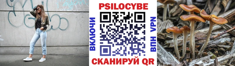 Галлюциногенные грибы прущие грибы  Невель 
