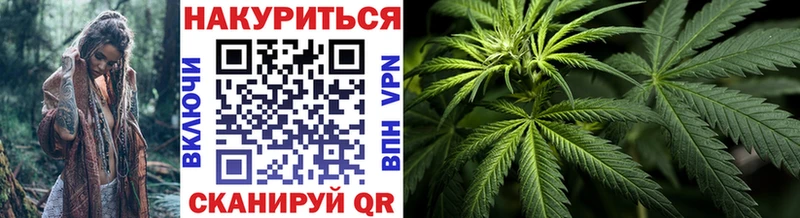 Бошки Шишки THC 21%  как найти закладки  Невель 